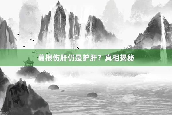 葛根伤肝仍是护肝？真相揭秘